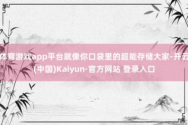 体育游戏app平台就像你口袋里的超能存储大家-开云(中国)Kaiyun·官方网站 登录入口