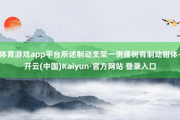 体育游戏app平台所述制动支架一侧建树有制动钳体-开云(中国)Kaiyun·官方网站 登录入口