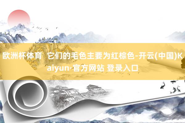 欧洲杯体育  它们的毛色主要为红棕色-开云(中国)Kaiyun·官方网站 登录入口