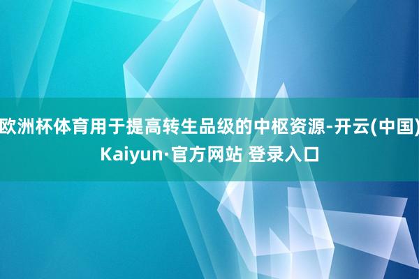 欧洲杯体育用于提高转生品级的中枢资源-开云(中国)Kaiyun·官方网站 登录入口