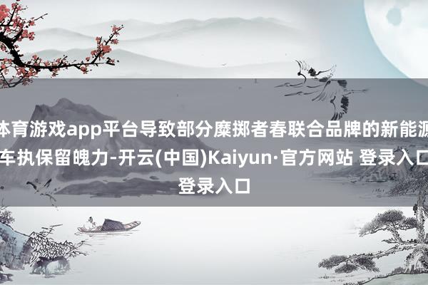 体育游戏app平台导致部分糜掷者春联合品牌的新能源车执保留魄力-开云(中国)Kaiyun·官方网站 登录入口