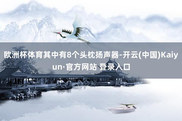 欧洲杯体育其中有8个头枕扬声器-开云(中国)Kaiyun·官方网站 登录入口