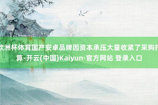 欧洲杯体育国产安卓品牌因资本承压大量收紧了采购打算-开云(中国)Kaiyun·官方网站 登录入口