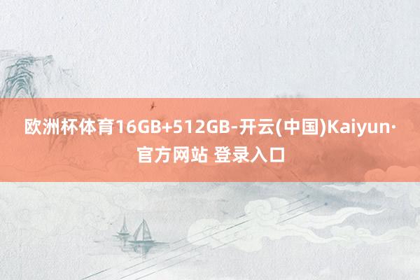 欧洲杯体育16GB+512GB-开云(中国)Kaiyun·官方网站 登录入口
