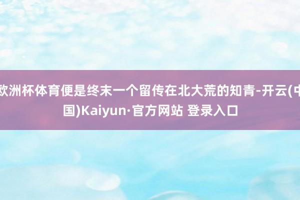 欧洲杯体育便是终末一个留传在北大荒的知青-开云(中国)Kaiyun·官方网站 登录入口