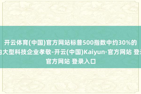 开云体育(中国)官方网站标普500指数中约30%的权重由大型科技企业孝敬-开云(中国)Kaiyun·官方网站 登录入口
