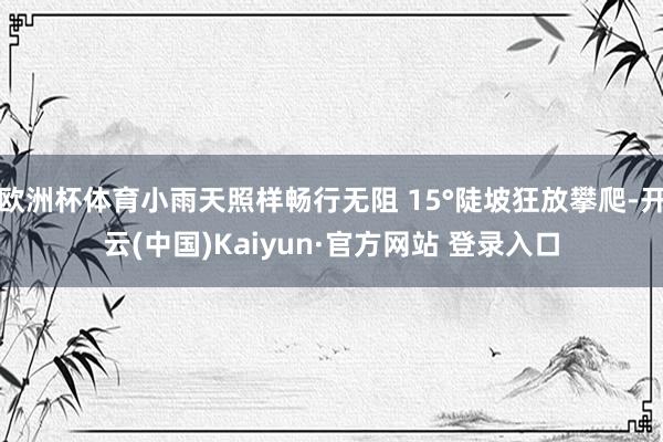 欧洲杯体育小雨天照样畅行无阻 15°陡坡狂放攀爬-开云(中国)Kaiyun·官方网站 登录入口